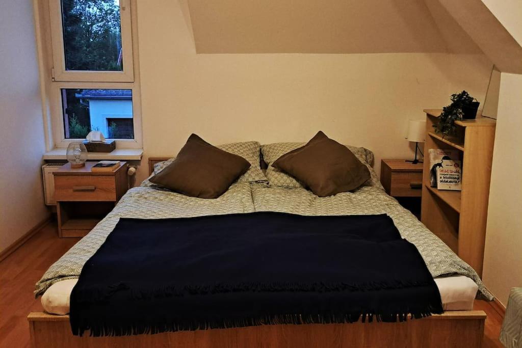 Zoeld Orom Apartman Lakas Göd Εξωτερικό φωτογραφία